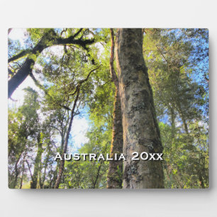 Australian Rainforest Eucalyptus Gum Trees Plaque