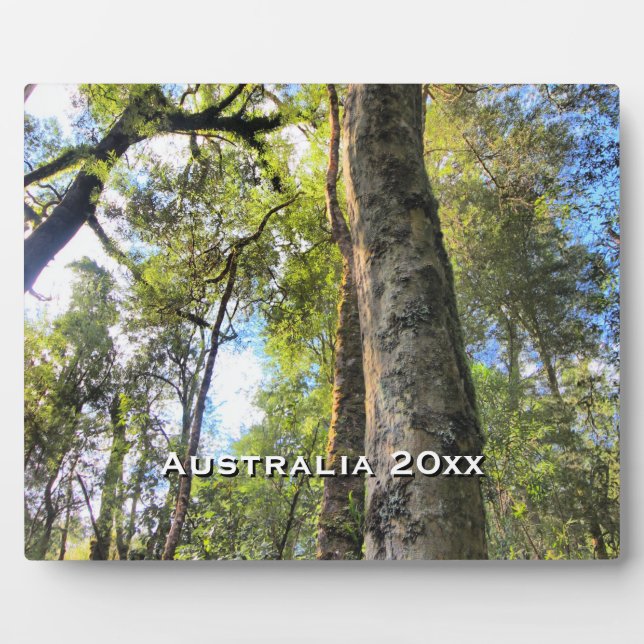Australian Rainforest Eucalyptus Gum Trees Plaque (Front)