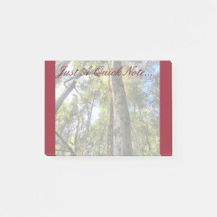 Australian Rainforest Eucalyptus Gum Trees Post-it Notes