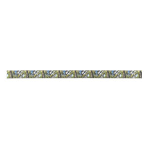 Australian Rainforest Eucalyptus Gum Trees Satin Ribbon