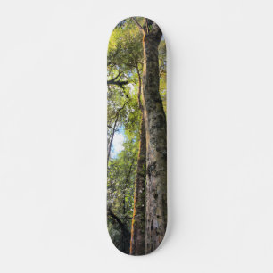 Australian Rainforest Eucalyptus Gum Trees Skateboard