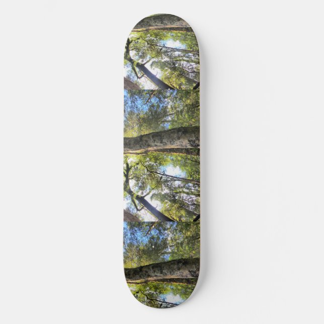 Australian Rainforest Eucalyptus Gum Trees Skateboard (Front)