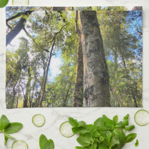 Australian Rainforest Eucalyptus Gum Trees Tea Towel