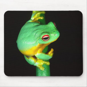 Australian Red Eye Treefrog, Litoria chloris, Mouse Mat