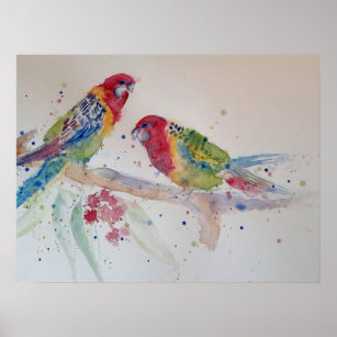 Australian Rosella Parrot Watercolour art Poster
