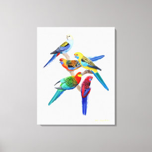 Australian Rosella Parrots Wrapped Canvas