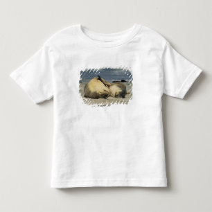 Australian Sea Lions, Neophoca cinerea), Toddler T-Shirt