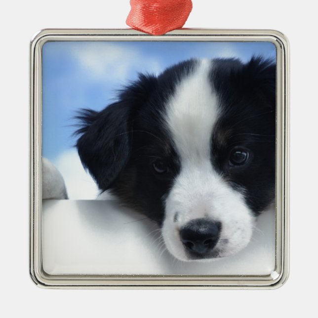 Australian Sheepdog Puppy Metal Tree Decoration (Front)