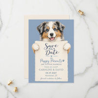 Australian Shepard Aussie Dog Pet Animal