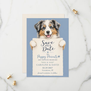 Australian Shepard Aussie Dog Pet Animal Save The Date