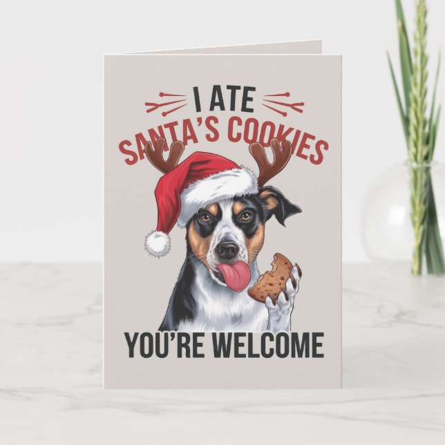Australian Shepard Funny Dog Christmas Card (Front)