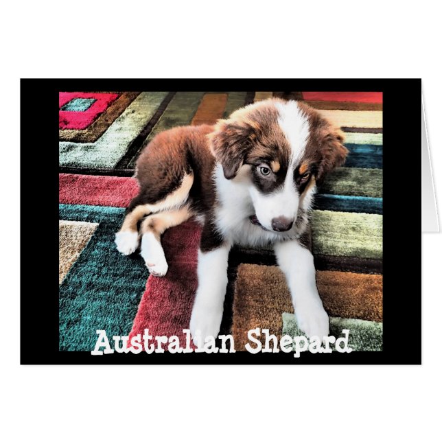 Australian Shepard Puppy Make Your Own Custom (Front Horizontal)