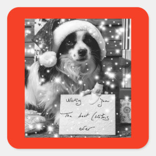 AUSTRALIAN SHEPARD SQUARE Sticker