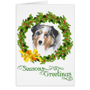 Australian Shepherd
