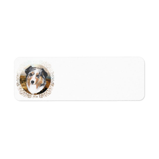 Australian Shepherd (Front)