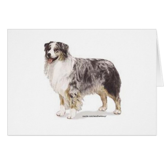 Australian Shepherd (Front Horizontal)