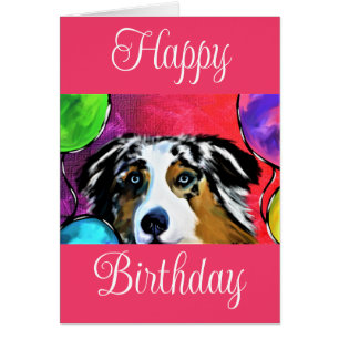Australian Shepherd