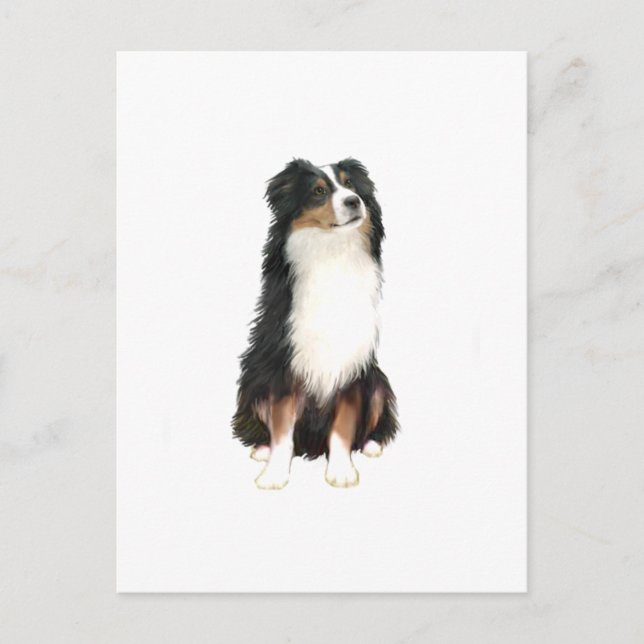 AUSTRALIAN SHEPHERD (A) - Tri Colour Postcard (Front)