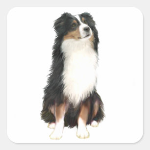 AUSTRALIAN SHEPHERD (A) - Tri Colour Square Sticker