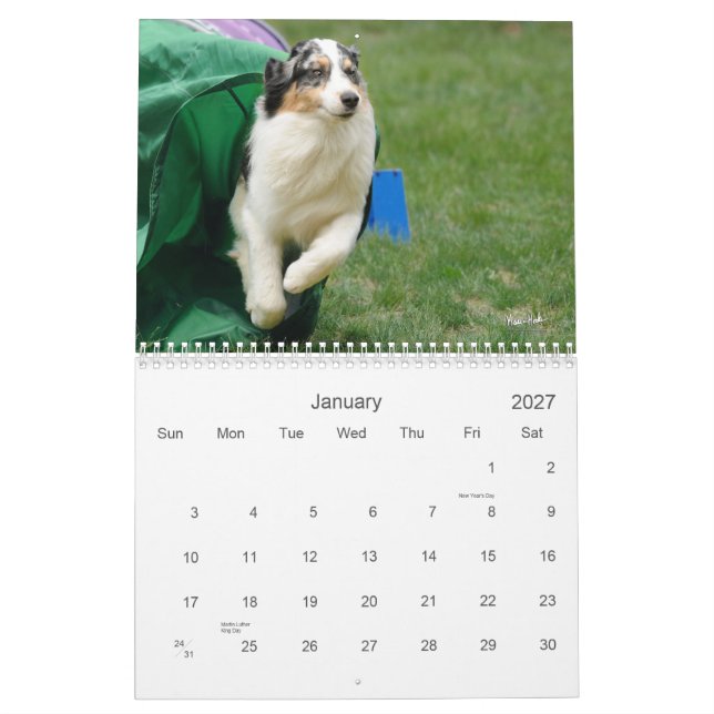 Australian Shepherd Agility Calendar (Jan 2027)