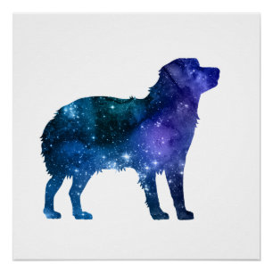 Australian Shepherd Art Aussie Dog Poster