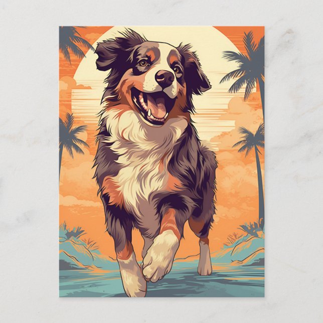 Australian Shepherd at a tropical beach Postcard (Front)