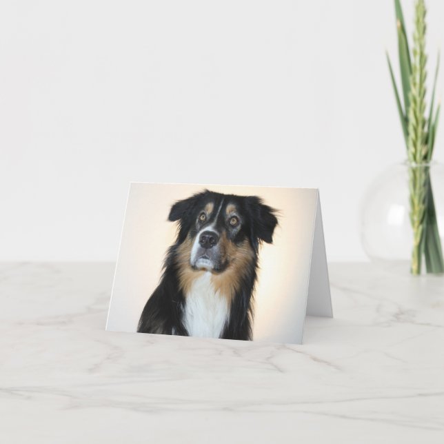 Australian Shepherd Aussie  Dog  Hello Love Card (Front)