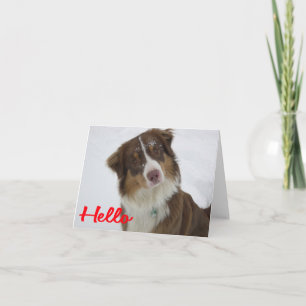 Australian Shepherd Aussie  Dog  Hello  Love Card