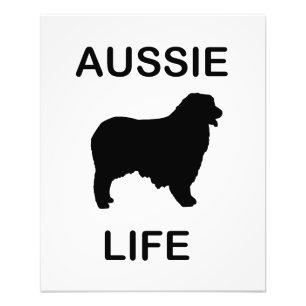 australian shepherd aussie life photo print