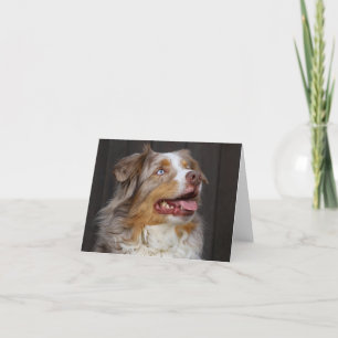 Australian Shepherd Aussie Puppy Dog  Love Hello Card