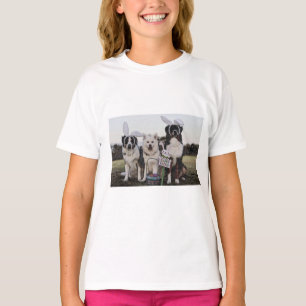 Australian shepherd, Aussie, Shepherd T-Shirt