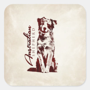 Australian Shepherd  Aussie Square Sticker