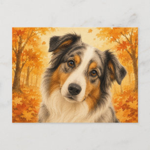 Australian Shepherd Autumn Forest Dog Postcard