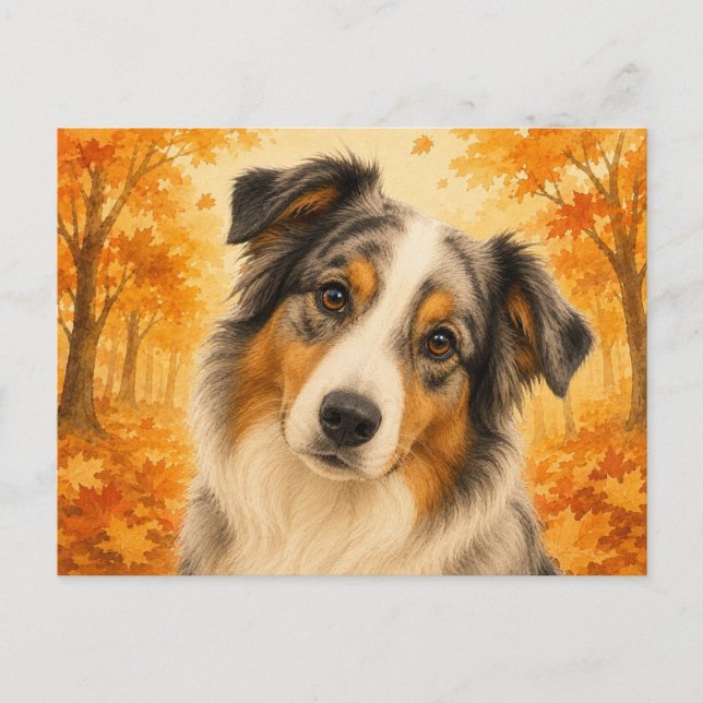 Australian Shepherd Autumn Forest Dog Postcard (Front)