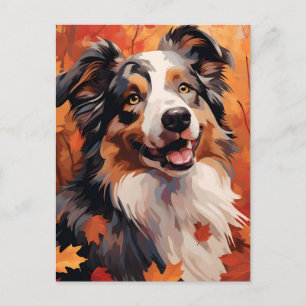 Australian Shepherd Autumn Thanksgiving  Postcard