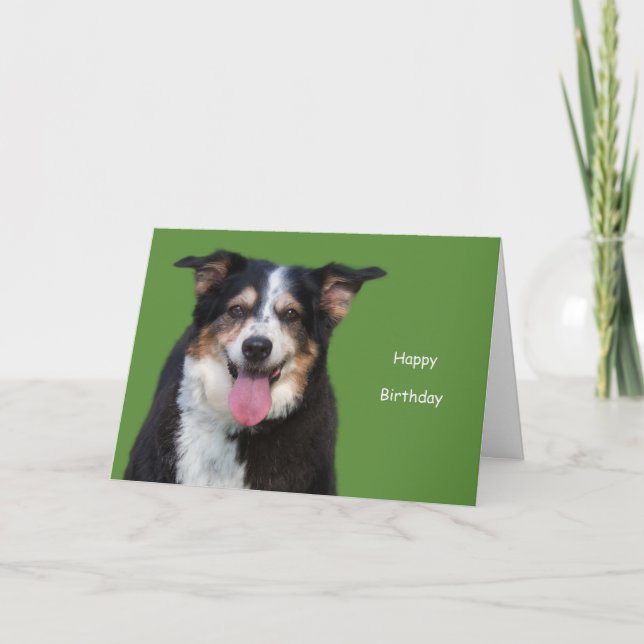 Australian Shepherd Birthday by Focus for a Cause Card (Front)