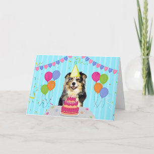 Australian Shepherd Birthday Holiday Card