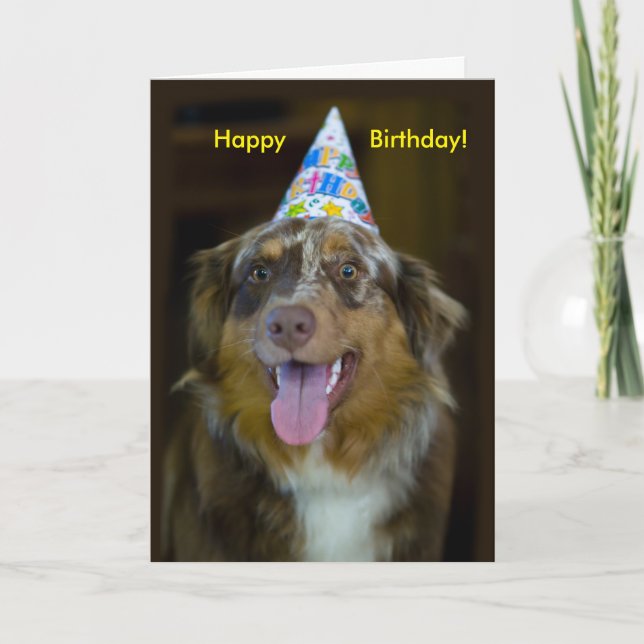 Australian Shepherd Birthday Party Dog Card (Front)
