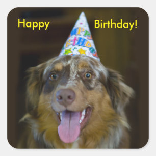 Australian Shepherd Birthday Party Dog Square Sticker
