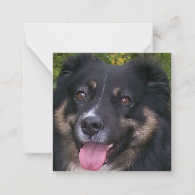 australian shepherd black tri card (Front)
