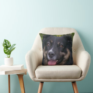 australian shepherd black tri cushion