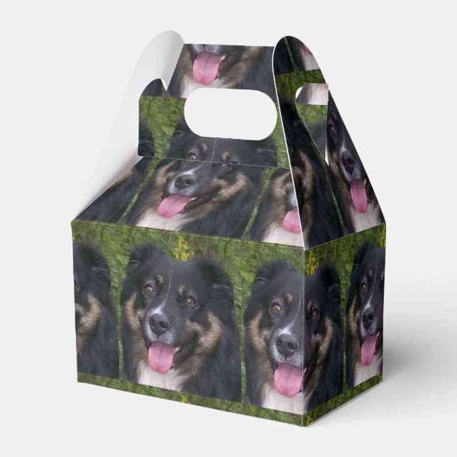 australian shepherd black tri favour box (Front Side)
