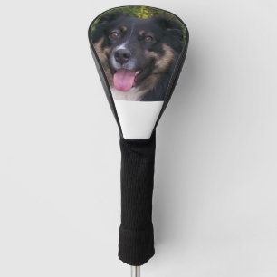 australian shepherd black tri golf head cover