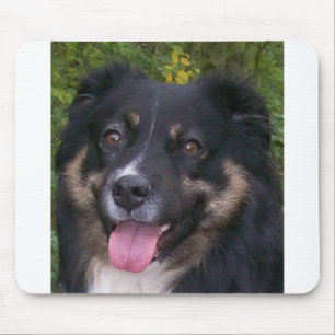 australian shepherd black tri mouse mat