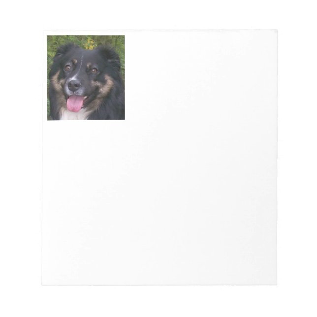 australian shepherd black tri notepad (Front)