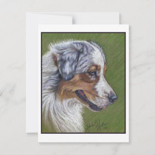 Australian Shepherd, Blue Merle, Card