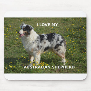 australian shepherd blue merle love w pic mouse mat