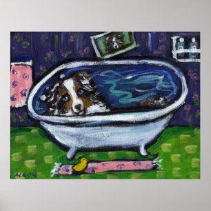 Australian Shepherd blue merle takes bath Poster