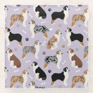 Australian Shepherd Bones and Paws Glass Coaster