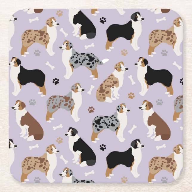 Australian Shepherd Bones and Paws Square Paper Coaster (Front)